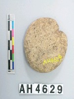 藏品(小砝碼型石網墜)的圖片